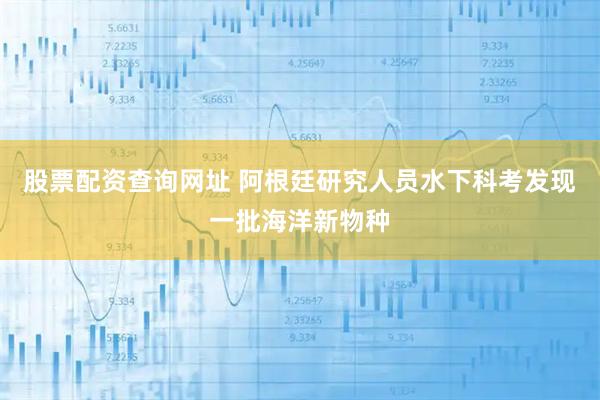 股票配资查询网址 阿根廷研究人员水下科考发现一批海洋新物种