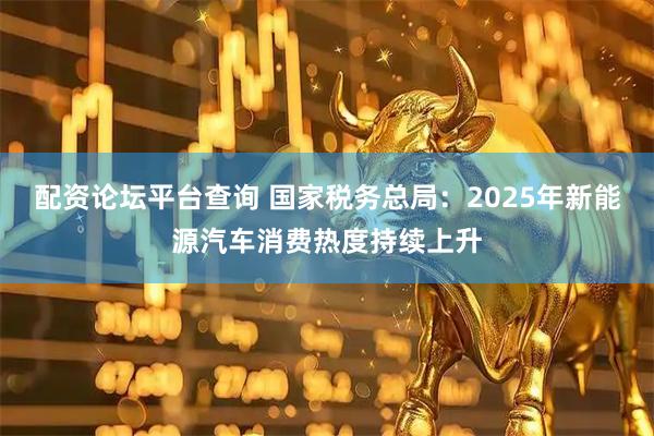 配资论坛平台查询 国家税务总局：2025年新能源汽车消费热度持续上升