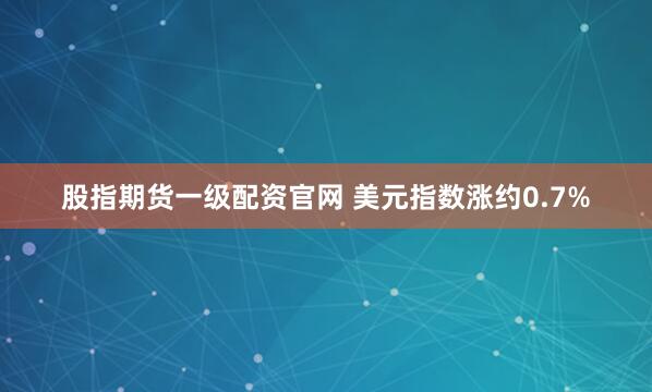 股指期货一级配资官网 美元指数涨约0.7%